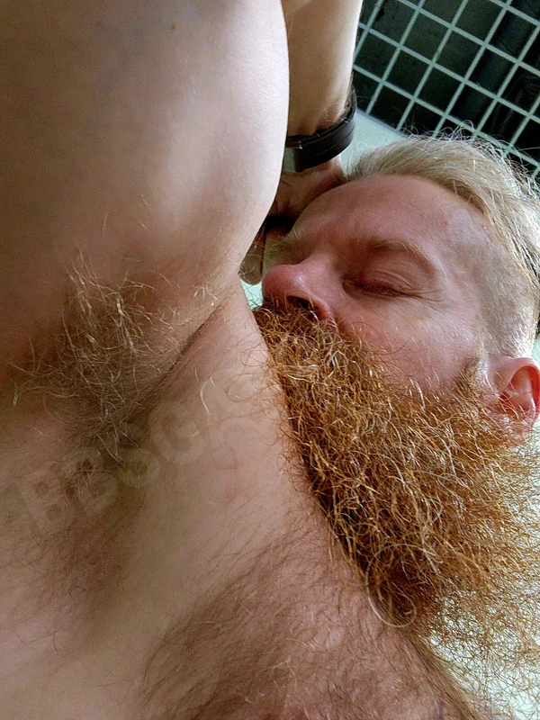 Gingerbeard4591631