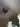 anlsex734