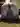 Fatslavepig33