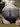 Fatslavepig33