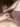 Rostick