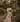 Alicewond