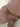 Ant