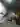 Dfrgdd
